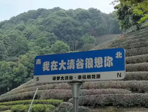 1749537894147.png